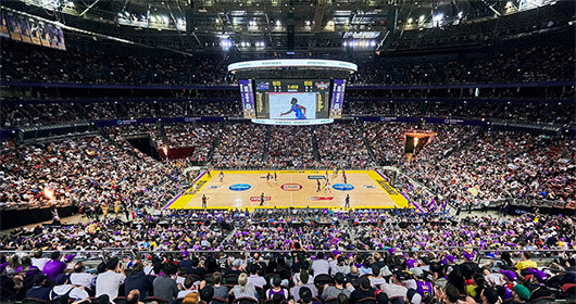 NBL records another increase in attendances 