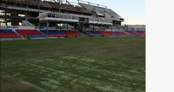 EnergyAustralia Stadium pitch forces postponement